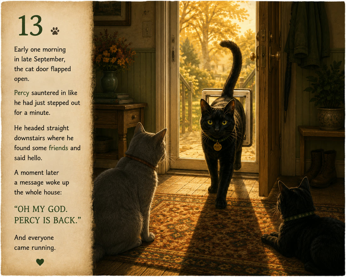 Page 13: Early one morning in late September, the cat door flapped open.