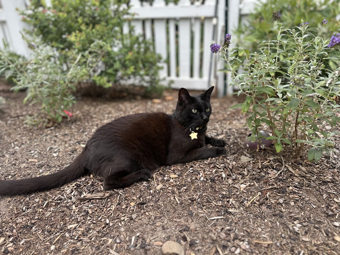 Percy, The grounds are coming along nicely.