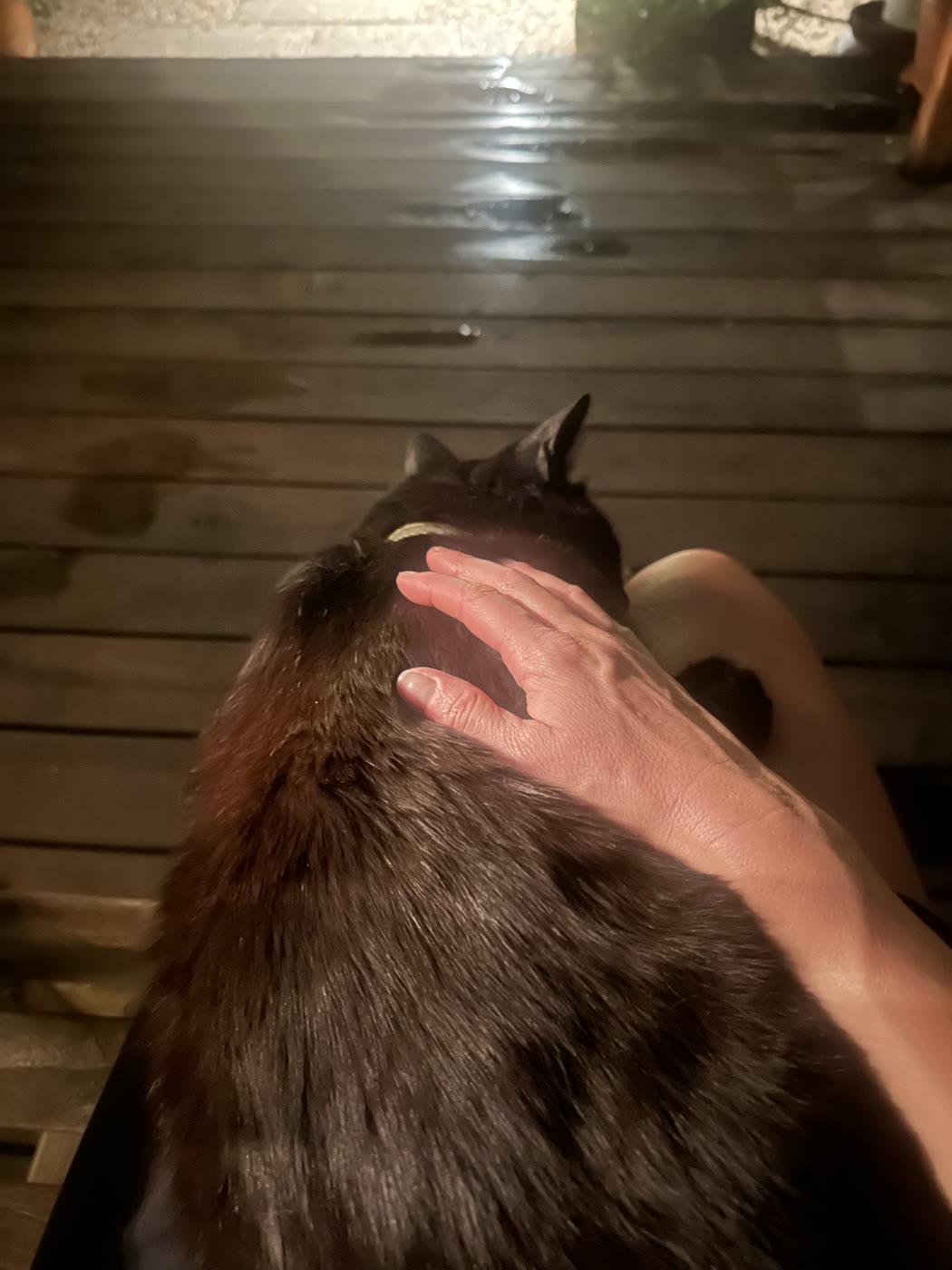 Percy, Extended my stay.