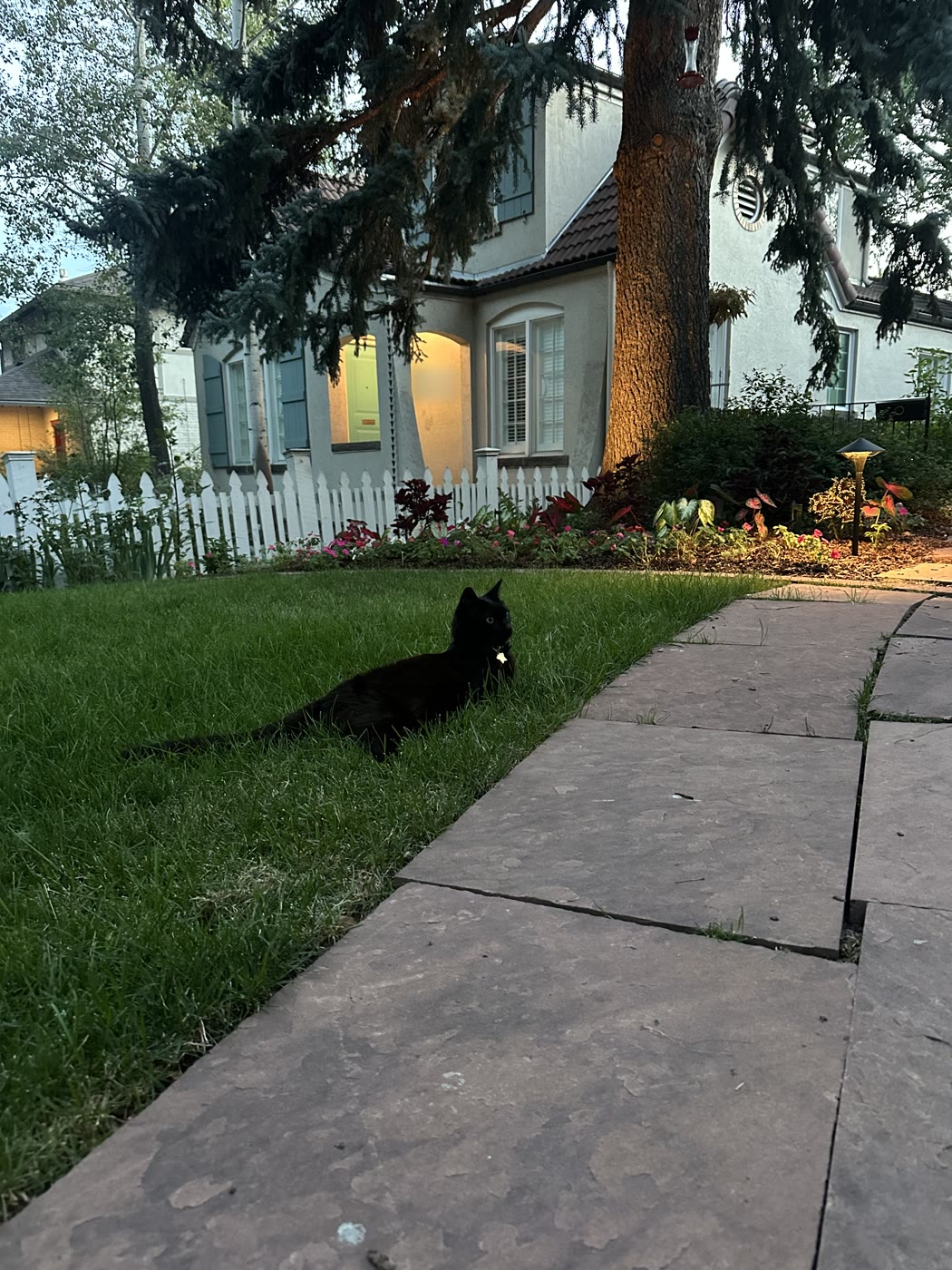 Percy, Just checking on one of my properties.